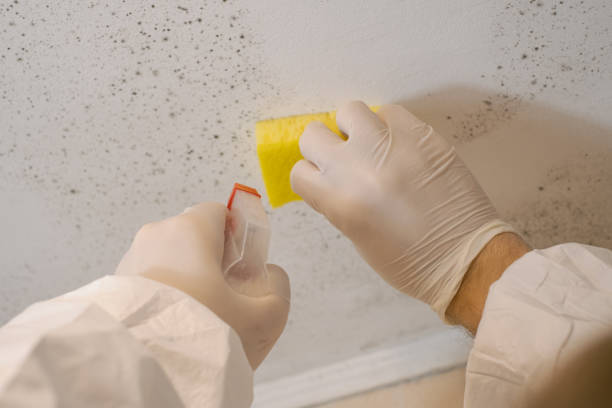 Mold Exposure & Symptoms